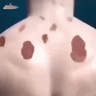 1782027933364267.gif